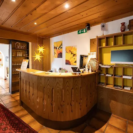 Gæstehus Haus In Der Sonne Fieberbrunn