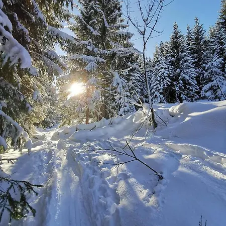 Pensjonat Haus In Der Sonne
