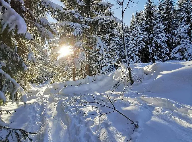 Gasthof Haus In Der Sonne